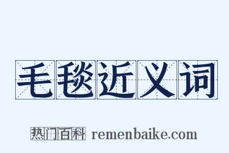 毛毯近义词是什么意思的图片